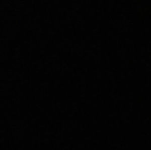 Meet your Posher, Nina